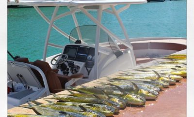 Pronautica vip deep sea fishing